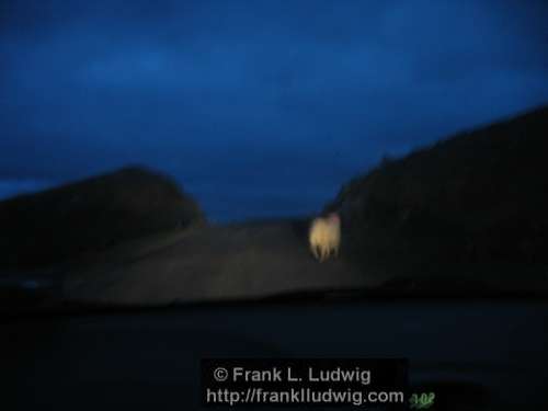 Donegal by Car